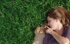 Find content updated daily for affordable lawn care Affordable Lawn Care In Richmond Lawn Doctor Of Greater Richmond