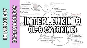 The injection, priced around rs41,700 per vial, has been in. Immunology Interleukin 6 Il6 Physiology And Il6 Antagonist Pharmacology Tocilizumab Youtube