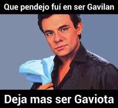 Pin By Lily Leyl On Frase Para Enviar Karaoke Songs Movie Stars Spanish Music