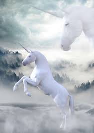Check spelling or type a new query. Image Of Real Unicorns Free Photo 100011197