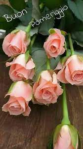 Immagini Belle Del Buon Pomeriggio Con Rose Rosa Immagini Di Fiori Bellissimi Fiori Fiori Per Matrimoni