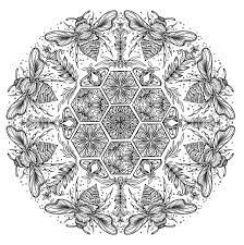 Select from 35654 printable crafts of cartoons, nature, animals, bible and many more. Circle Of Life A Colouring Journey Amazon Co Uk Chatzipanagiotou Melpomeni 9781912785278 Books