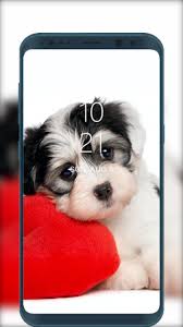 Puppy Wallpapers Hd Cute Dog Beautiful Pictures For Android Apk Download We've gathered more than 3 million images uploaded by our users and sorted them by the most popular ones.