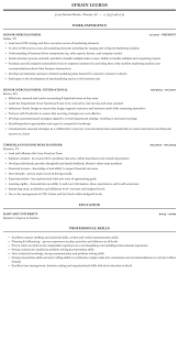 senior merchandiser resume sample