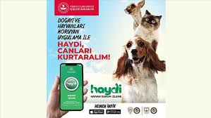 Haydi Hayvan Durum Izleme Uygulamasi Nedir Nasil Indirilir Haydi Uygulamasi Hakkinda Bilgiler Son Dakika Haberleri Internet