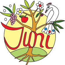 Juni Lekkernijen - Home - The Hague, Netherlands - Menu, Prices, Restaurant  Reviews | Facebook