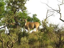 I have no traffic issues getting to work and back; Hoogland Health Hydro In Centurion Proportal