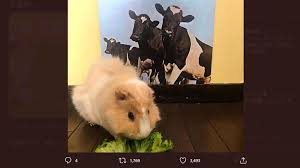 我曾將青春翻湧成她 也曾指尖彈出盛夏 心之所動 且就隨緣去吧 這一路上走走停停 順著少年漂流的痕跡 邁出車站的前一刻 竟有些猶豫 不禁笑這近鄉. Hpdi48vbvjqs9m