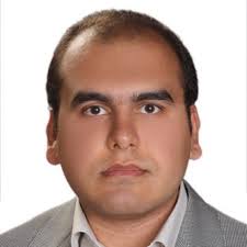 Does anyone have experiences working with Human Domain Antibody Phagemid  library constructed by Dr Daniel Christ is provided by SourceBioScience  Inc.?