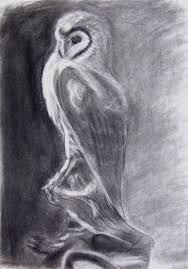 Black And White Still Life Drawing Owl Pictures Still Life Drawing Of Owl Using Pencil And Charcoal Life Drawing Still Life Drawing Owls Drawing