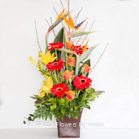 Read reviews from louises flowers inc at n main st in marion 42064 from trusted marion restaurant reviewers. Flowers By Louise Elegant Bouquets Wreaths Floral Displays And More