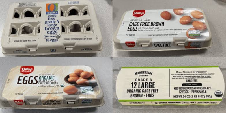 August Egg Co. Salmonella Outbreak sickens 79 | Food Poison Journal