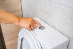 Differences Between Push-Button & Handle-Flush Toilets