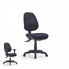 Express P350h Fully Ergonomic High Back Office Chair