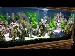 See reviews and photos of aquariums in batu, indonesia on tripadvisor. Aquascape Sand Stone Project By Dirawijaya Batu Pasir Waterfall Youtube