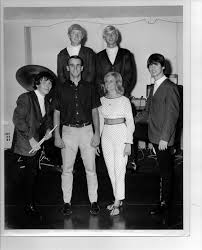 Image result for Moon White 1980 ABB Comeng