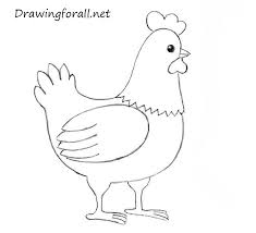 Maybe you would like to learn more about one of these? Easy Kids Easy How To Draw A Chicken Novocom Top