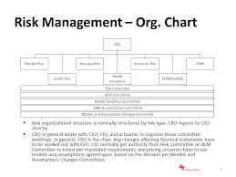 an overview of risk management based on a disclosure from an