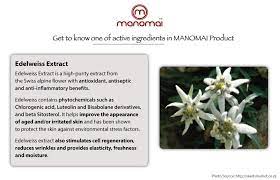 Edelweiss Extract Benefits In All Manomai Around The Clock Facial Serum For Every Type Skin