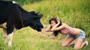 Funny Image 
