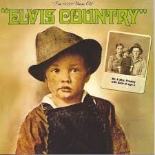 Image result for dischi country copertine