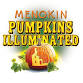 Pumpkins Illuminated