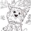 Ulubione przez dzieci zwierzątka możesz dowolnie kolorować. 1