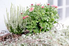 Im september ist im garten einiges zu tun: Mein Garten Im September Pomponetti