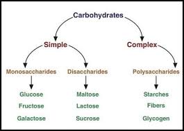 classification of carbohydrates with types structure