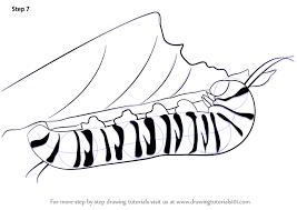 Contour the swallowtail caterpillar, trying to vary the thickness and darkness of the line. Learn How To Draw A Caterpillar Insects Step By Step Drawing Tutorials