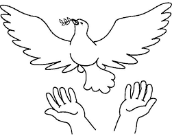 Palomas Paz 12 Paloma De La Paz Dibujos De La Paz Dia De La Paz