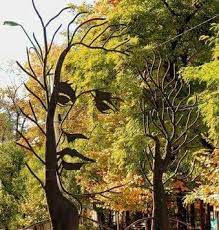 See more of şcoala gimnazială ,,mihai eminescu corabia on facebook. Teiul Lui Eminescu Atrage Turistii Ca Un Magnet Arborele Monument Supravietuieste Gratie Unui Fenomen Biologic Rar Mobile