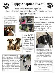 Includes list of adoptable animals. Adopt A Pet Wilmette Pet Center