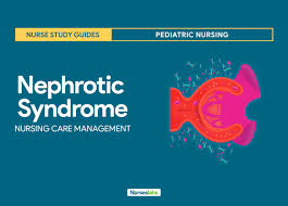 Gestational hypertension is elevated blood pressure without proteinuria, other signs of preeclampsia, or preexisting hypertension. Nephrotic Syndrome Nursing Care Planning Management Study Guide