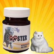 Selain itu kucing betina yang sedang hamil pada umumnya akan rontoknya bulu kucing menjadi tidak wajar ketika terjadi dalam jumlah yang berlebihan. Booster Vitamin Kucing 60 Biji Melebatkan Bulu Kucing Hilangkan Kutu Dan Kurap Kucing Makin Aktif Shopee Malaysia