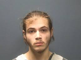 MCGLAUGHN, LARRY C Charges: VIOLATION OF PROBATION CIRCUIT This information  and more is available at isoms.seviercountytn.org:9000/Jail?hours