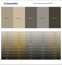 Get some color inspiration with color hunt's grey palettes collection and find the perfect scheme for your design or art project. 45 Grey Color Palettes Icolorpalette Blog