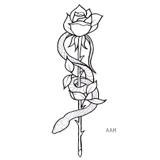 This rose drawing exercise is focused to begin from the center of the flower and gradually evolve outward. Alex On Twitter Just A Simple Tattoo Design Rose Snake Tattoo Design Artists Artwork Drawing Art Illustration Photoshop Artistsontwitter Temptation Roses Stem Leaves Https T Co Heusv9lqxf