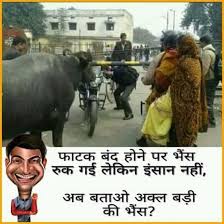 Pin On Bharat Ajab Gazab