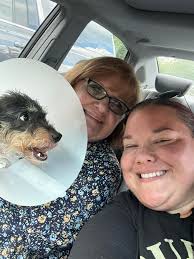 I'd just like to say a huge thank you to everyone that have sent their  lovely messages of support for Jack our GSD who had a stroke. I think he's  making progress,