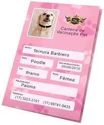 Os tipos de vacinação para cães e gatos em portugal prevê a ação de combate à várias doenças. Carteirinha De Vacinacao Personalizada Rosa Pet Elegante