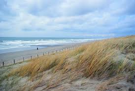 Einige der schönsten strände in holland findet man auf den westfriesischen inseln. Eine Ferienwohnung In Holland Am Strand Mieten Ferienhaus Holland