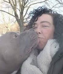 Experiences and Opinions about New Paltz, NY