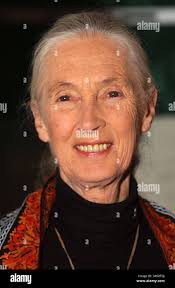 Jane vaughan hi-res stock photography and images