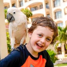 Fundraiser for Christine Dailey by Suki LaBarre : Henry Dailey