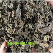 Maybe you would like to learn more about one of these? Daun Cincau Hitam Kering Janggelan Kering Bahan Dasar Cincau Hitam Shopee Indonesia