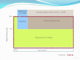 1 Subsidized Cost Florida Kidcare Most Families Pay Only