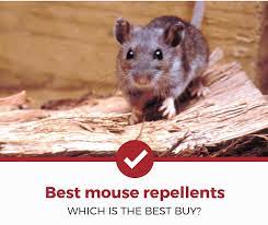 Mice are incredibly adept at detecting food and water, entering small spaces, and using any matter of materials to build their nests and quickly reproduce. Top 5 Best Mouse Repellents 2021 Review Pest Strategies