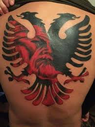 Pin On Alb Tat
