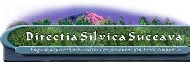 Foloseste casuta de cautare pentru a gasi strada cautata din brosteni. Notari Suceava Suceava Pagini Aurii